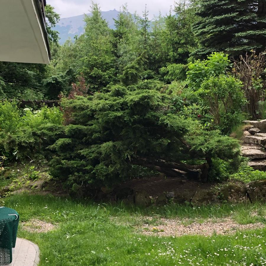 Azyl Karpacz - Kazdy Pokoj Z Wlasna Kuchnia I Lazienka Exteriér fotografie